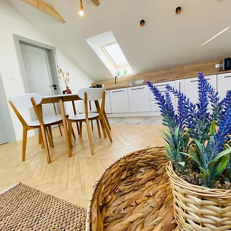 Milo Cie Widziec Nowecin