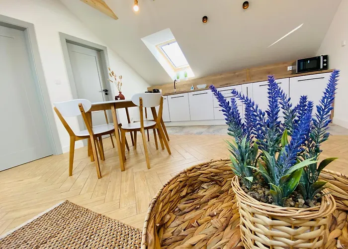 Milo Cie Widziec Nowecin